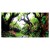 419fce234b713732be39e70dbe685ba7.jpg