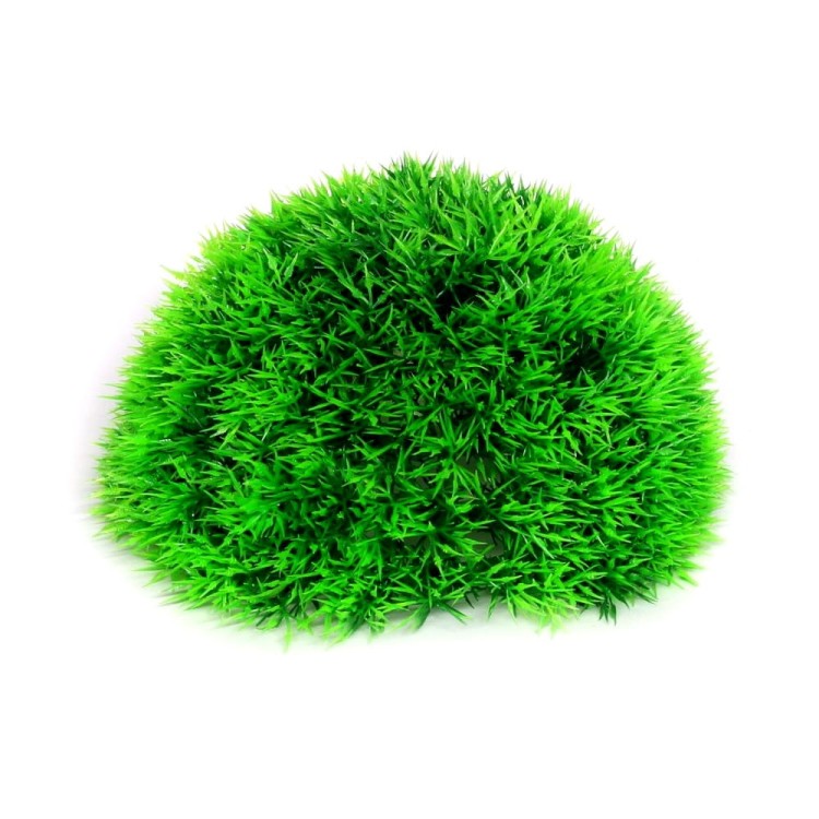 cbd55eb22cbfdeb1c26d0084ebf266f3.jpg