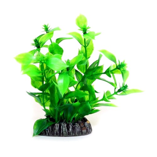 4598a34619d3d250867996a86bf626e4.jpg
