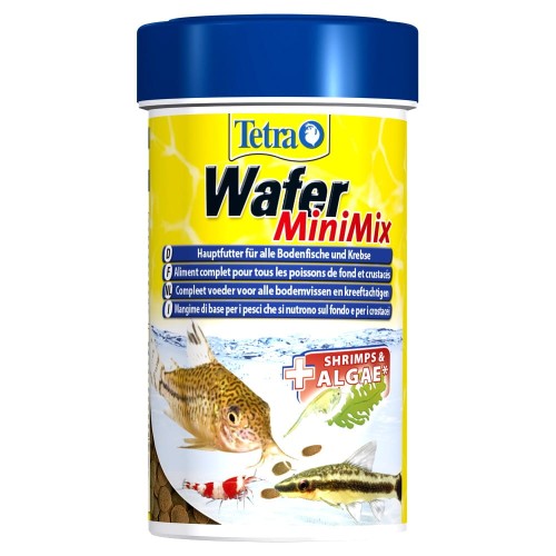 95d925cf491c592917ba16cac8ca5891.jpg