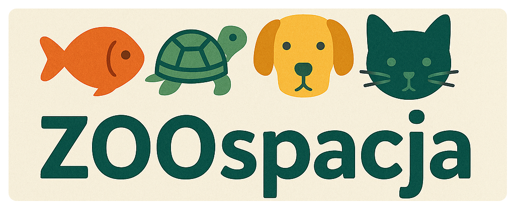 ZOOspacja - strona główna