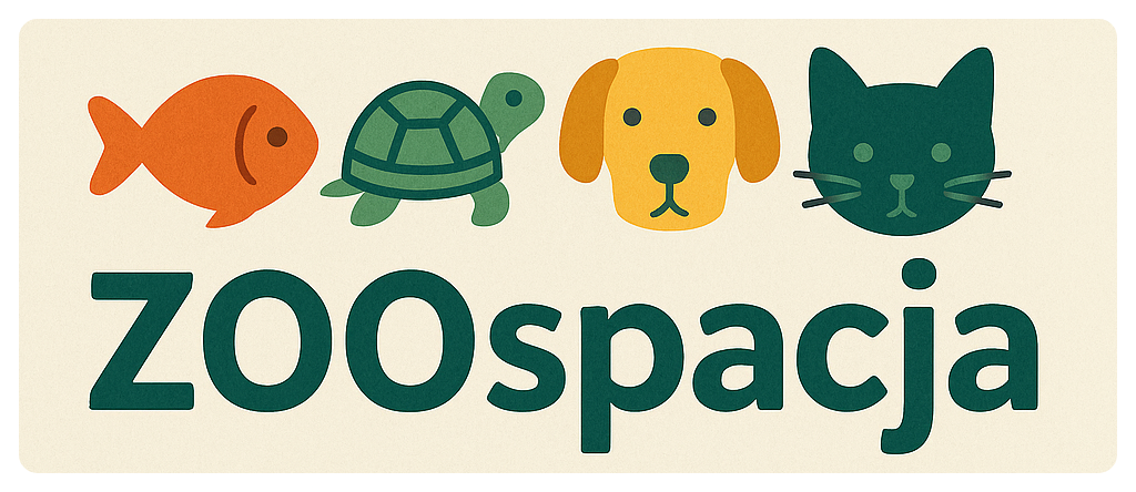 ZOOspacja - strona główna